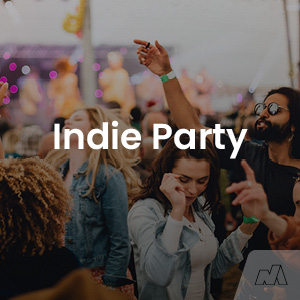 The Best of Indie Party and more Playlist